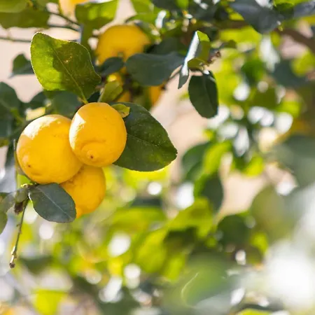 Prázdninový dům Il Faro Design Privacy Comfort E Posto Auto